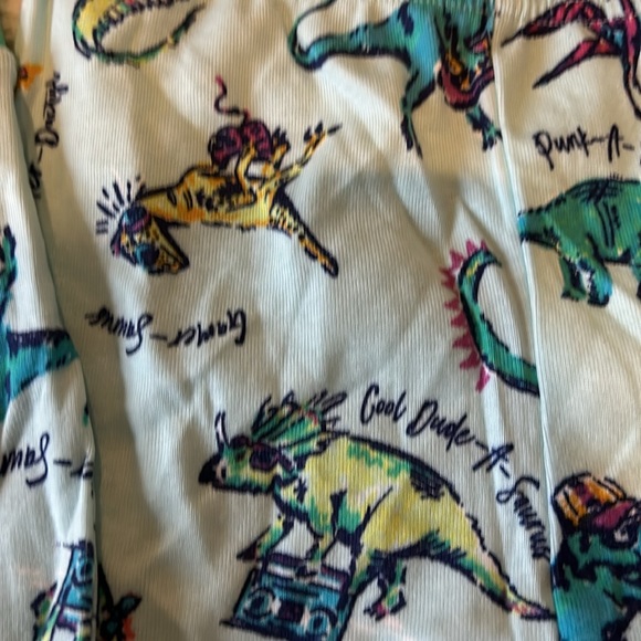 NWT, fish stix, boys, dinosaur cotton PJ set - Picture 7 of 8